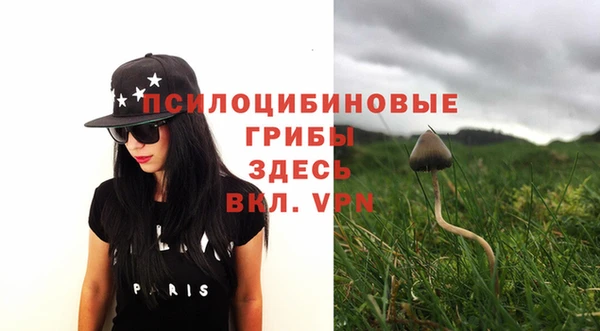 ГАЛЛЮЦИНОГЕННЫЕ ГРИБЫ Абинск