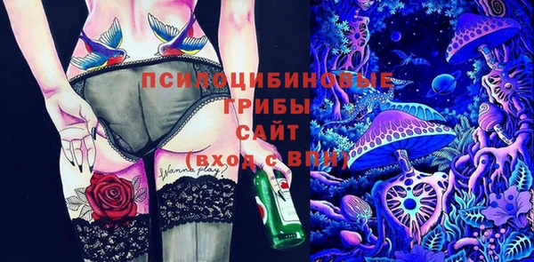 гашиш Абаза