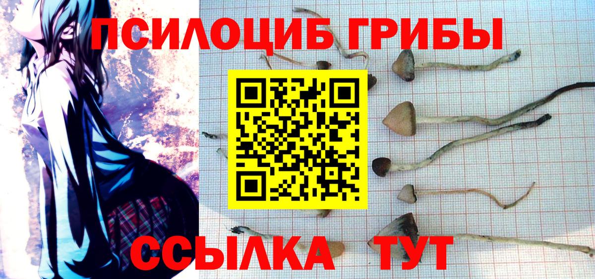 Галлюциногенные грибы мицелий Партизанск